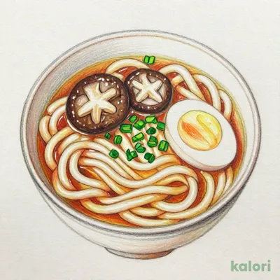 Sugakiya Miso Nikomi Udon (Miso Stewed Noodles)