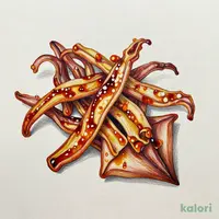 Sour Vinegar Squid, 23g