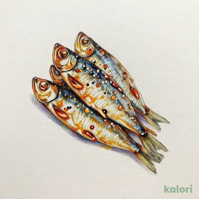 Edible Dried Small Fish, 43g