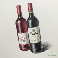 ＜訳あり品＞【お酒】オンラインストア限定 バローロ入り！豪華赤ワイン 2本セット