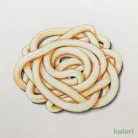 生うどん 100g【賞味期限：2026/12/3】