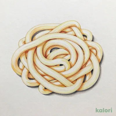 生うどん 100g【賞味期限：2026/12/3】