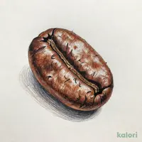 【焙煎珈琲】オンラインストア限定 タンザニア ベルベットビター/200g