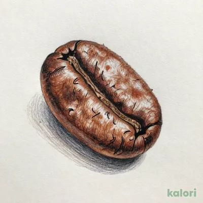 【焙煎珈琲】オンラインストア限定 タンザニア ベルベットビター/200g