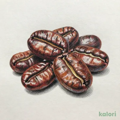【焙煎珈琲】オンラインストア限定 百年樹珈琲/200g