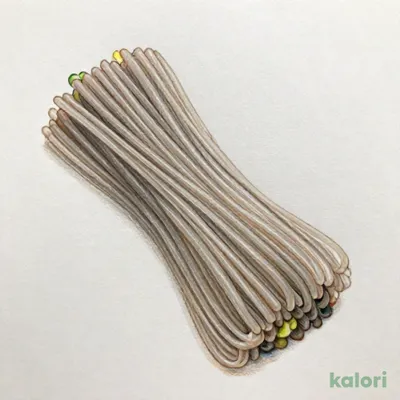 簡単ケークック 韓国春雨（お徳用） 350g