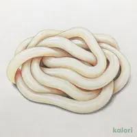 鍋の〆生うどん 100g