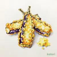 なす天盛り～天つゆ付き～