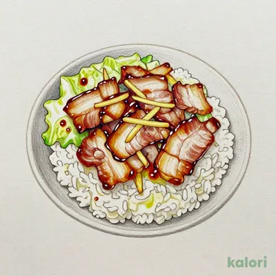 Ginger Pork Rice Bowl