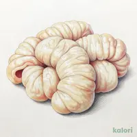 シマチョウ(テッチャン)