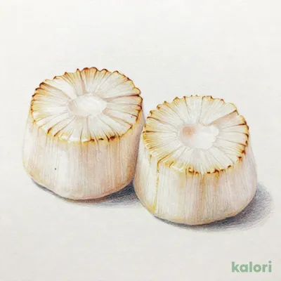 帆立貝