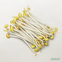 豆もやし