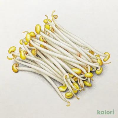 豆もやし
