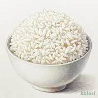 ごはん大盛り（ごはんセット）
