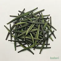 天竜水窪