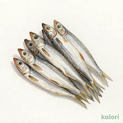 瀬戸内産かたくち煮干