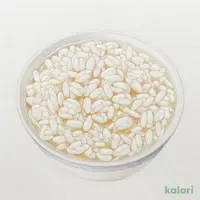白粥 新潟こしひかり