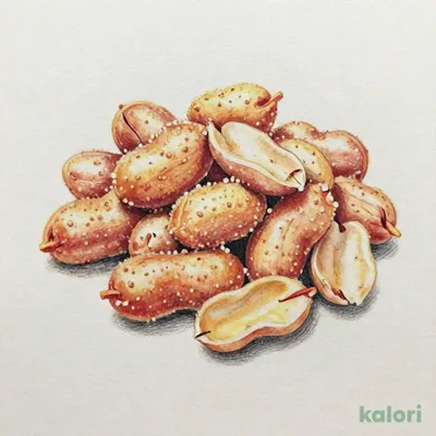 豆菓子