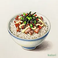 Chashu Pork & Mayo Rice Bowl