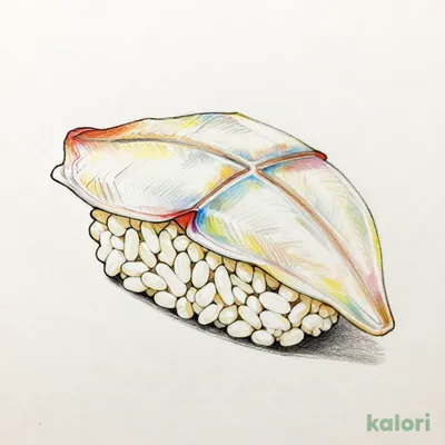 えんがわ（かれい）（関西）