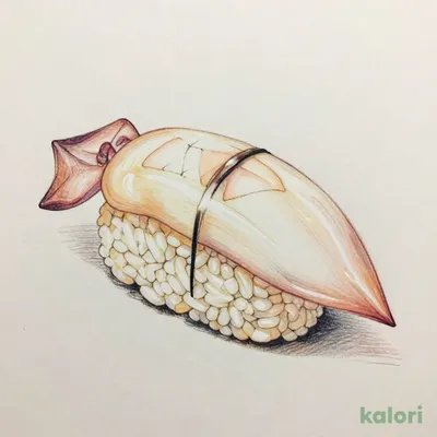 Squid