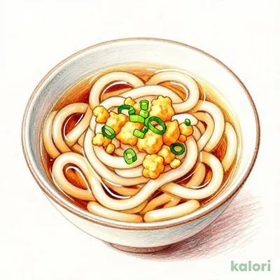 Natural Dashi Udon