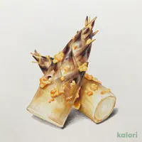 たけのこ（穂先）