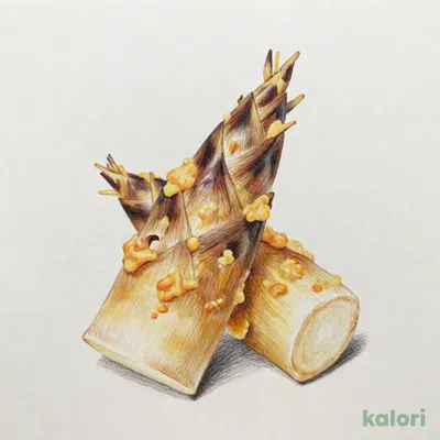 たけのこ（穂先）