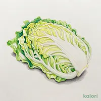 ソースキャベツセット