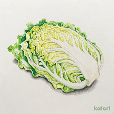 ソースキャベツセット