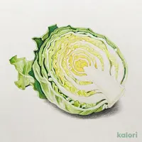 単品 キャベツ