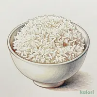 おかわりごはん 並
