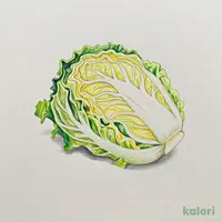おかわりキャベツ