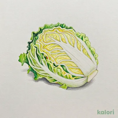 おかわりキャベツ