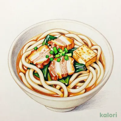 肉つけ汁うどん