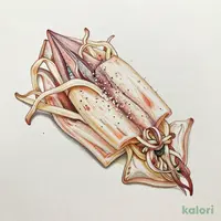 さきいか