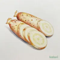 ささがきごぼう