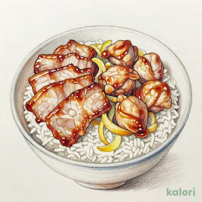 二種の肉盛丼