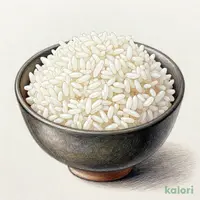 コシヒカリごはん　2食パック