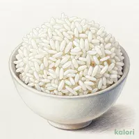 大盛りコシヒカリごはん
