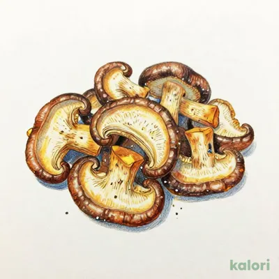 しいたけスナック　うま塩味