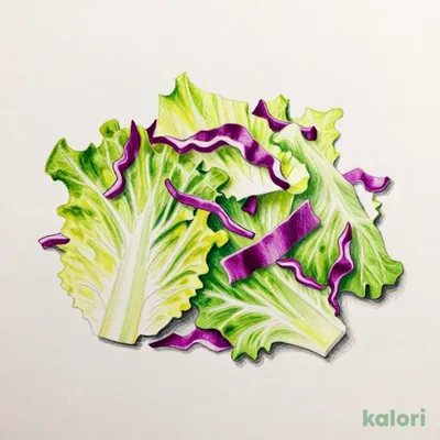 Lettuce Mixed Salad