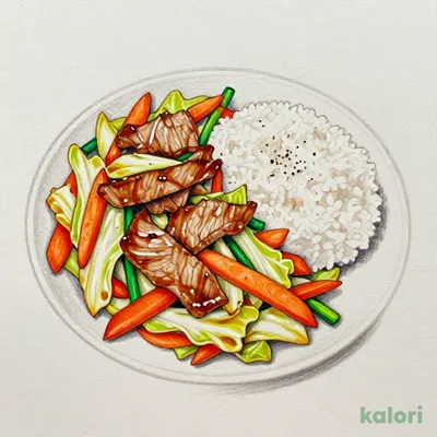 肉野菜弁当