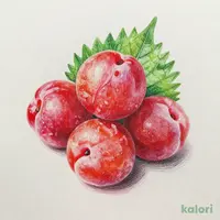 紀州産　南高梅干　しそ漬