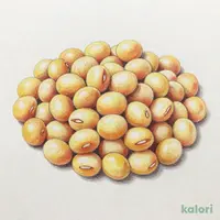 ビオラル北海道産有機蒸し大豆150g