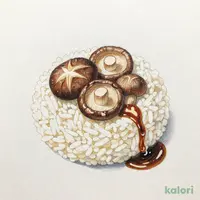 ビオラル有機しいたけごはんの素