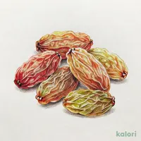 ビオラル有機３種のレーズンミックスお徳用３３０ｇ