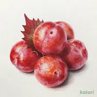 ビオラル素材そのままおいしい 紀州南高梅しそ漬８５ｇ