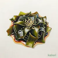 ビオラル金ごま昆布６０ｇ