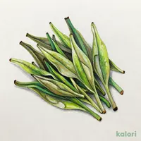 ビオラル静岡県産 一番摘み有機緑茶１００ｇ